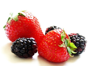 Strawberry Fragaria