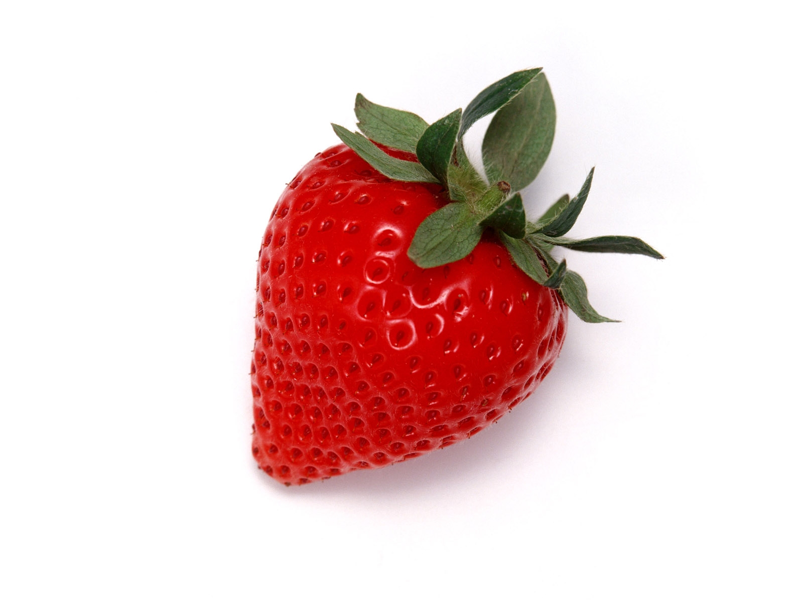Strawberry Fragaria