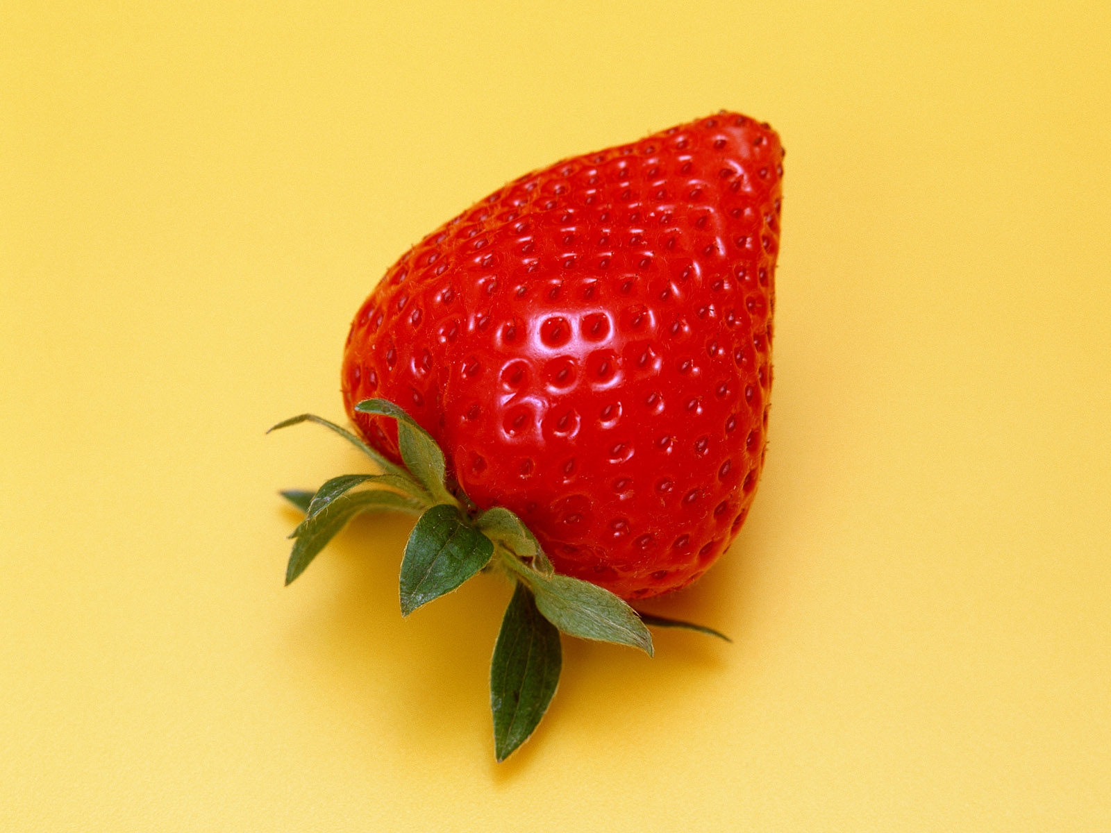Strawberry Fragaria