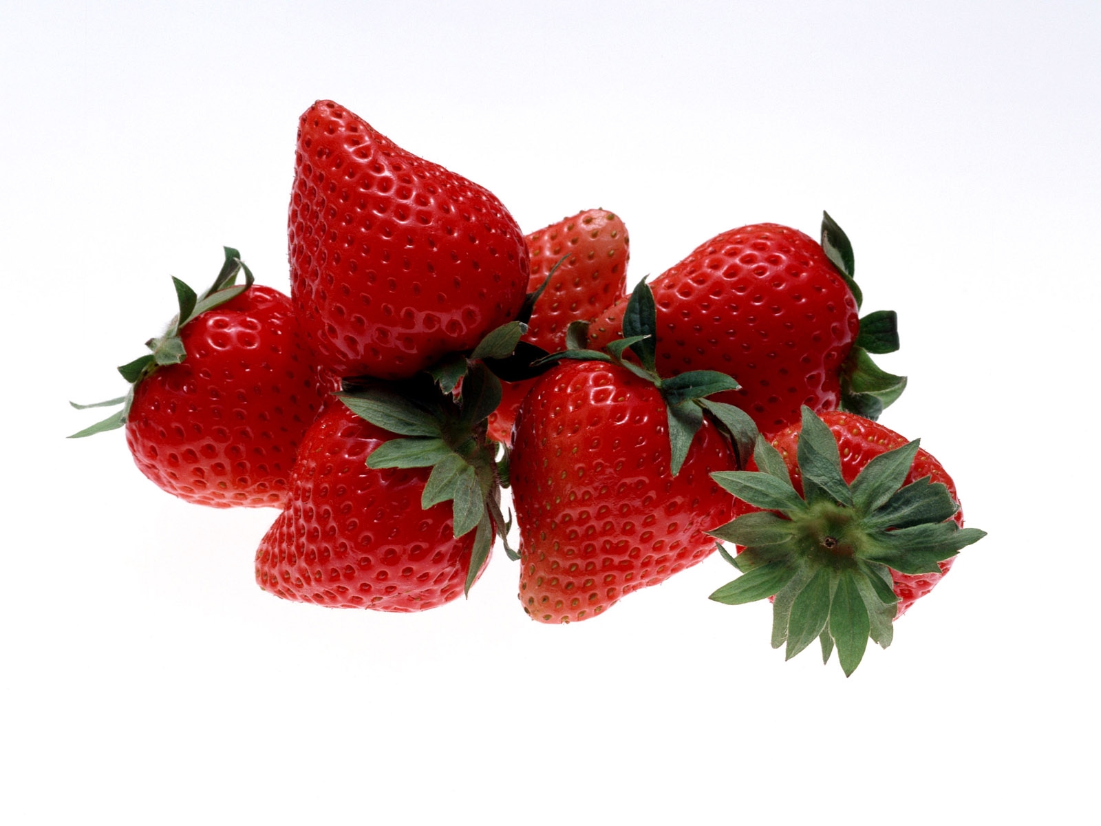Strawberry Fragaria