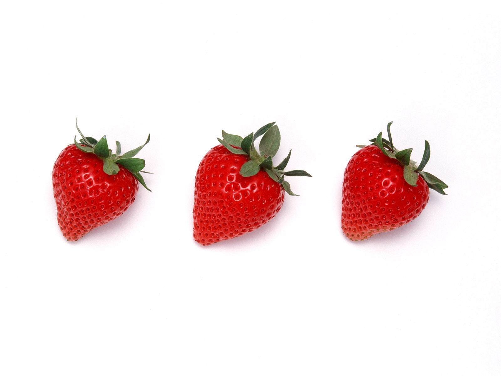 Strawberry Fragaria
